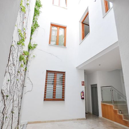Renthas Vid Loft Leilighet Málaga Eksteriør bilde